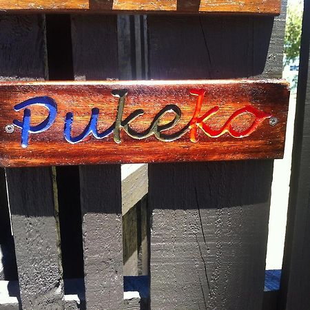Ferienwohnung Pukeko On Bay Tauranga Exterior foto
